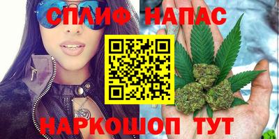 спиды Заводоуковск