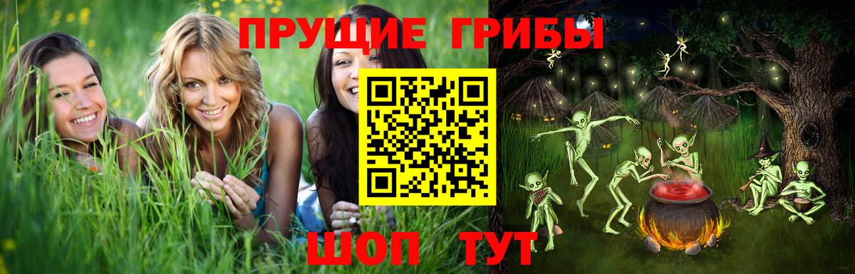Галлюциногенные грибы Psilocybe  купить наркоту  Великий Новгород  Вход с VPN  Псилоцибиновые грибы Cubensis 