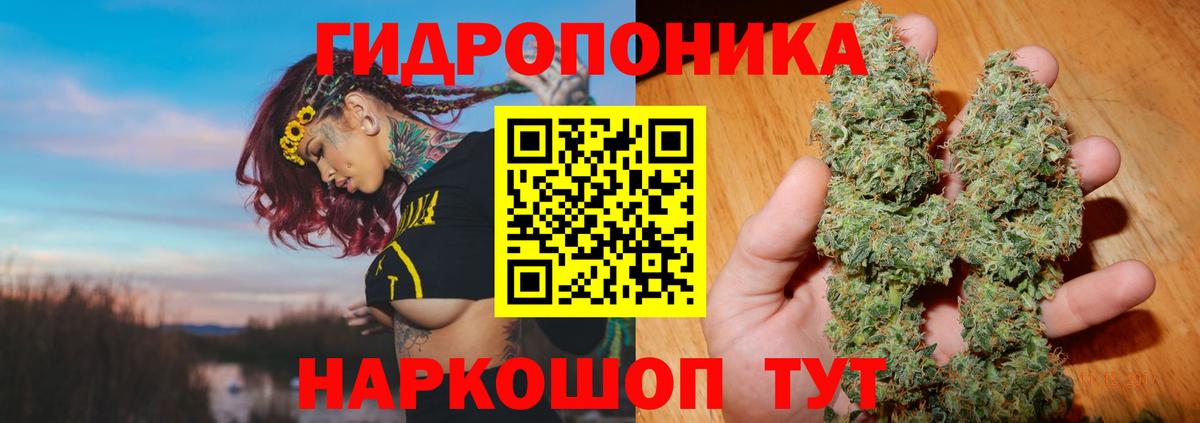 Каннабис планчик  МАРИХУАНА Ganja  Марихуана VHQ  Вход с VPN  Великий Новгород 